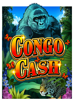 pg slot เปิด ใหม่ กับการทดลองเล่นที่น่าตื่นเต้น